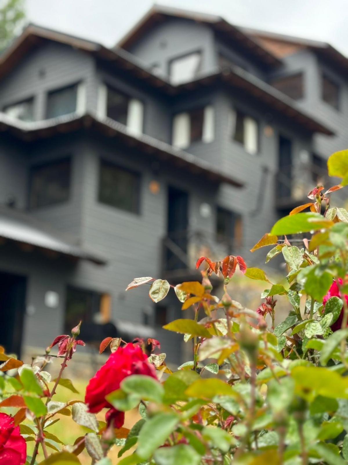 Villa Huilen De Bandurrias San Martín de los Andes Esterno foto