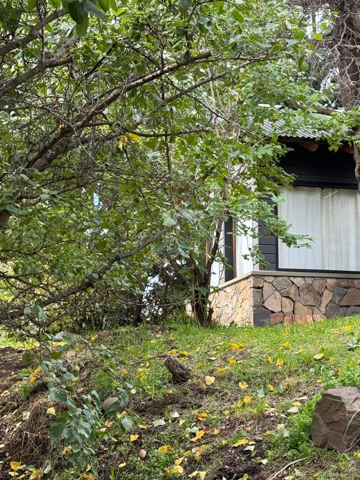 Villa Huilen De Bandurrias San Martín de los Andes Esterno foto